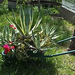 Lägenhet Babic Rituals Makarska