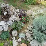Babic Rituals Makarska