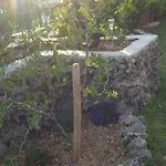 Babic Rituals Makarska