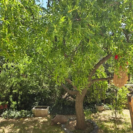 Babic Rituals מאקרסקה