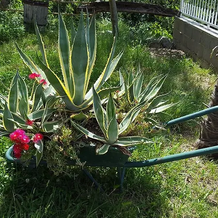 Apartmán Babic Rituals Makarská