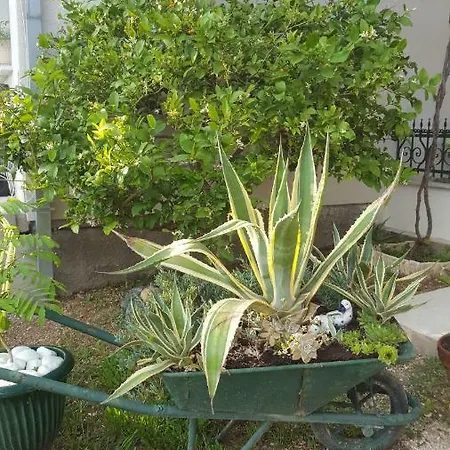 Apartment Babic Rituals Apartments Makarska