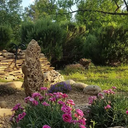 Babic Rituals Апартаменты