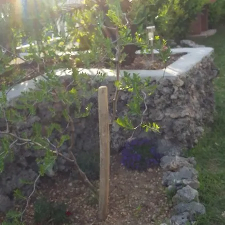 Babic Rituals Apartments Makarska