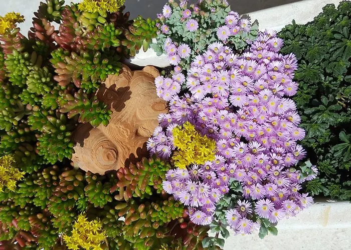 Babic Rituals شقة