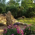 Babic Rituals Lejlighed