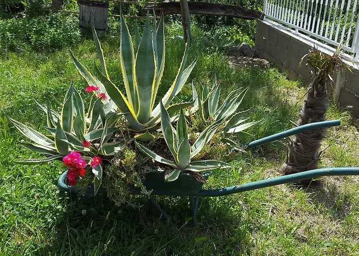 Appartement Babic Rituals Makarska